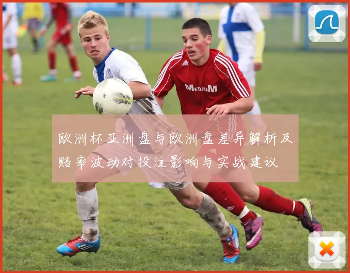 欧洲杯亚洲盘与欧洲盘差异解析及赔率波动对投注影响与实战建议