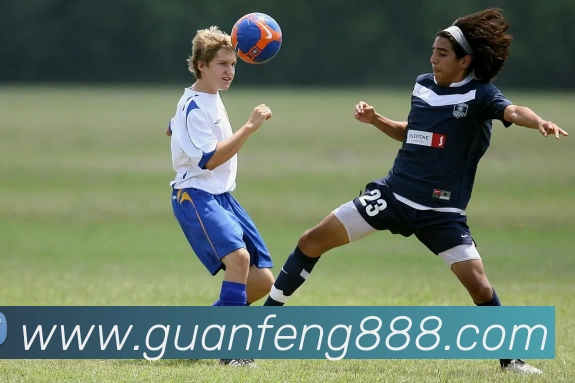 8868官网登录平台生态图