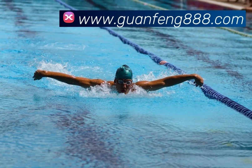 8868官网登录APP 封面图